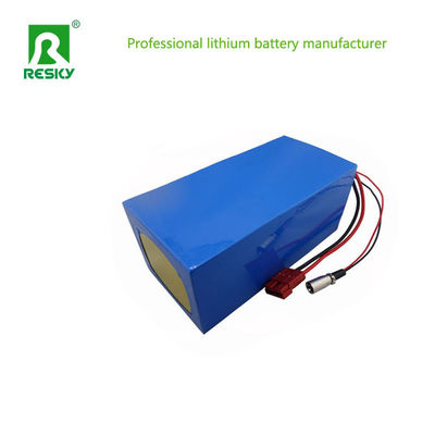 48V 20ah 1000W batteria al litio per veicoli elettrici